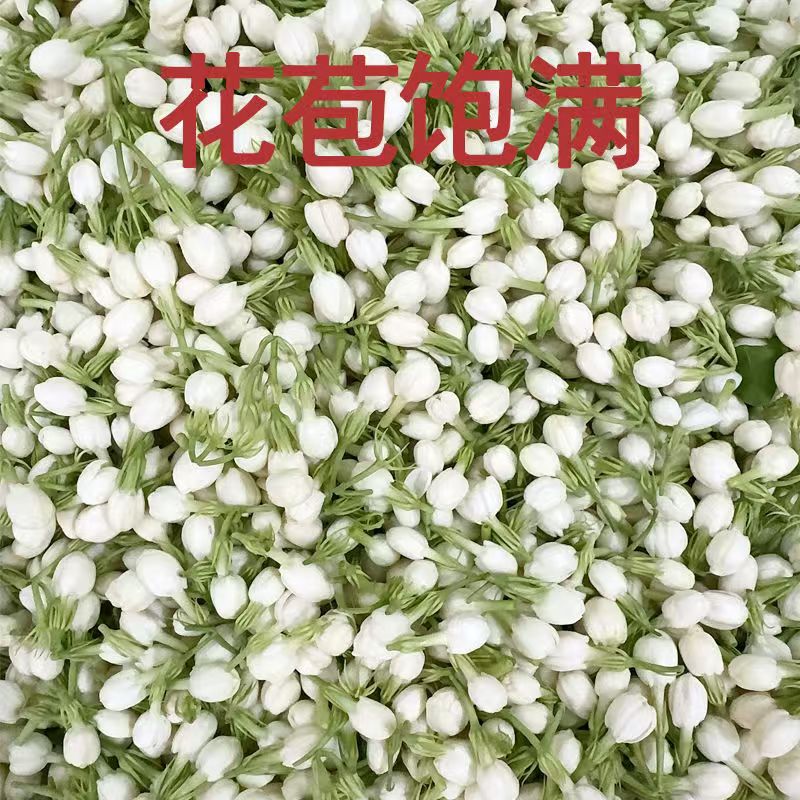 Bunga Melati Kering Alami Baru - Soap Making Raw Material ulasan dan harga